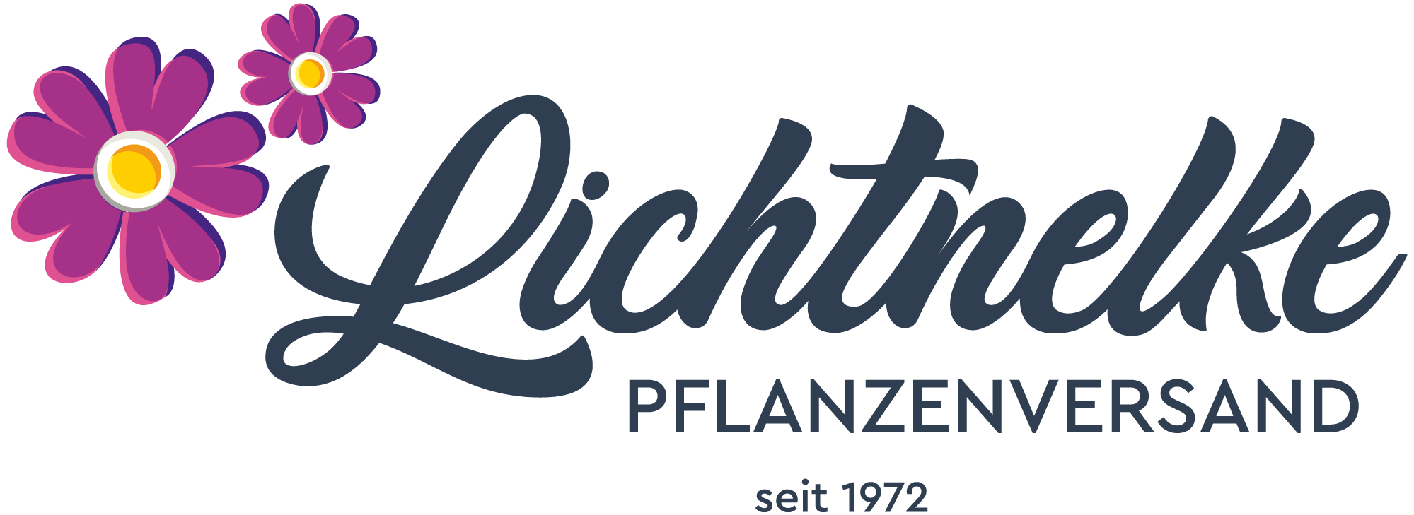 LICHTNELKE Geschäft