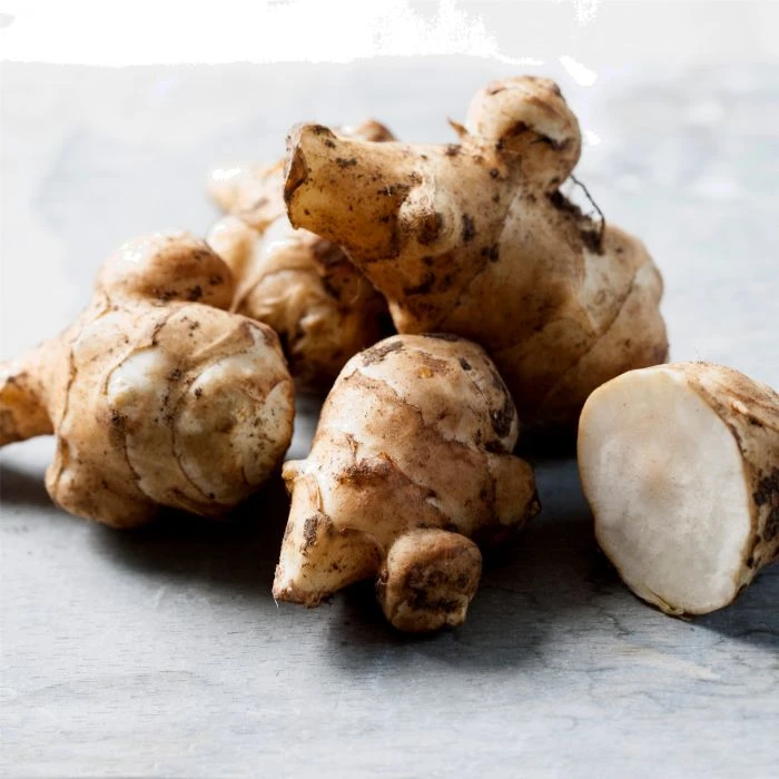 Frühe Topinambur (Helianthus Tuberosus) Papas Patio 3 Frühe Topinambur (Helianthus Tuberosus) Papas Patio