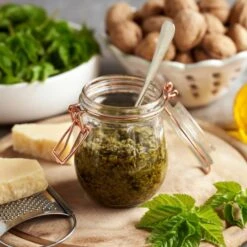 Giersch / Geißfuß (Aegopodium Podagraria)