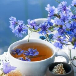 Kornblume Blau (Centaurea Cyanus) Goliath Blue