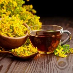 Echtes Johanniskraut (Hypericum Perforatum)