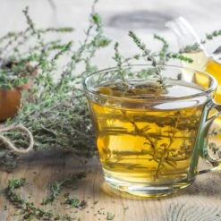 5 Pflanzen (Kräuter Für Den Balkon) Mix 7 5 Pflanzen (Kräuter Für Den Balkon) Mix -LICHTNELKE Geschäft thymus vulgaris echter thymian adobestock 294506294 sk 1