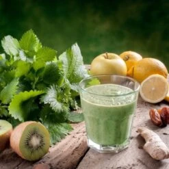 Große Brennnessel (Urtica Dioica) -LICHTNELKE Geschäft urtica dioica grosse brennnessel adobestock 77260335 sk